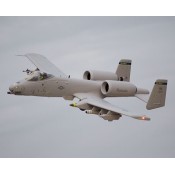 Freewing A-10 Thunderbolt II Twin 80mm EDF Jet 